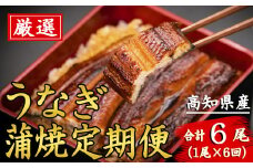 91-13 厳選!!高知県産うなぎの蒲焼き(1尾) 6回定期便