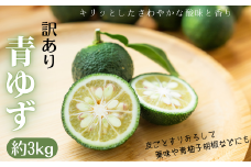 31-25 青ゆず 訳あり規格外品 約3kg