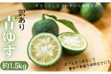 31-24 青ゆず 訳あり規格外品 約1.5kg