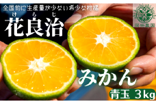 【先行予約】【令和7年産】みかん 青玉 3kg ミカン フルーツ 果物 期間限定 季節限定 旬 柑橘 家庭用 自宅用 ギフト プレゼント 贈答 贈答用 花良治みかん けらじみかん オレンジ デザート スイーツ アレンジ ゼリー ジャム ケーキ メリーガーデン 高知県産 高知県安芸市