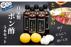 91-20 【高知県産ゆず果汁使用】にんにく入り自家製ぽん酢 5本セット