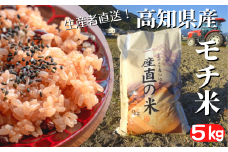 《令和6年産》モチ米 5kg こめ コメ おこめ 精米 お米 ごはん おコメ もち米 餅米 ヒヨクモチ 炊飯 もちもち食感 おもち 赤飯 おこわ 新米 2024年10月 保存方法 新嘗祭 皇室献上米 農家 高知県 安芸市 高知県