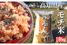 73-14 《令和6年産》モチ米 10kg こめ コメ おこめ 精米 お米 ごはん おコメ