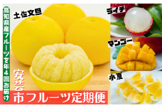 61-09 安芸市フルーツ定期便【5.7万円コース/年4回発送】