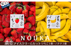 30-07 濃厚な甘さと味わいに恋する NOUKAの濃恋アイスクリームセット 濃恋バナナ&濃恋いちご 各3個