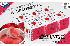 30-06 甘み際立つ濃厚風味のご褒美アイス NOUKAの濃恋いちご 6個セット