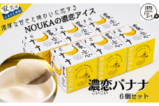 30-05 高知県産・高糖度完熟バナナアイス NOUKAの濃恋バナナ 6個セット
