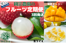 00-33 岡宗農園のフルーツ定期便【年3回発送】小夏・マンゴー・ライチ
