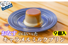 98-02 おなすのはいったキャラメルミルクプリン 9個入