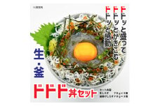 44-09 迷ったらコレ! 生・釜ドドド丼セット