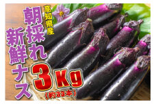 100-02　≪朝採れ新鮮！まっことうまいぜよ≫高知県安芸市産ナス　3㎏