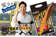 鰹BAR for Sports タイガースパッケージ3本（3種入りセット） カツオ スポーツ 筋トレ ダイエット 災害備蓄 保存食 栄養補給 サラダチキン プロテイン おやつ 常温 個包装 101-12