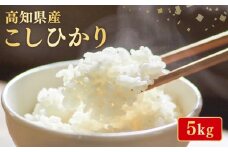 【令和7年産】 米 こしひかり 5kg お米 白米 精米 新米 コシヒカリ 産地直送 ごはん ご飯 高知県産 弁当 おにぎり 料理 高知県安芸市
