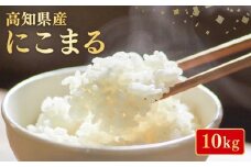 【令和7年産】 米 にこまる 10kg お米 白米 精米 新米 産地直送 ごはん ご飯 高知県産 弁当 おにぎり 料理 高知県安芸市