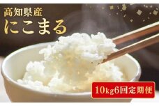 【令和7年産】 米 にこまる 計 60kg 定期便 10kg 6ヶ月 お米 白米 精米 新米 産地直送 ごはん ご飯 高知県産 弁当 おにぎり 料理 高知県安芸市