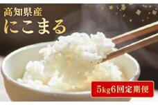 【令和7年産】 米 にこまる 計 30kg  定期便 5kg 6ヶ月 お米 白米 精米 新米 産地直送 ごはん ご飯 高知県産 弁当 おにぎり 料理 高知県安芸市
