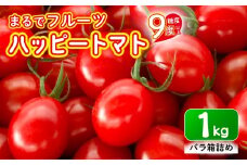 【先行予約】ハッピートマト1㎏