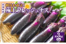 なす 約 3kg 6回定期便  【2025年10月中旬より発送予定】 採れたて 産地直送 農家直送 新鮮 旬 野菜 やさい 茄子 先行予約 期間限定 季節 料理 ご飯 ごはん 高知県安芸市