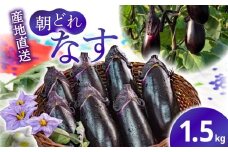 朝採れナス 約1.5kg