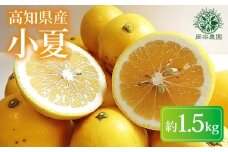 【先行予約】【令和8年産】 小夏  約 1.5kg フルーツ 果物 みかん 期間限定 季節限定 旬 柑橘 家庭用 自宅用 ギフト プレゼント 贈答 贈答用 こなつ 日向夏 ニューサマーオレンジ オレンジ デザート スイーツ アレンジ ゼリー ジャム ケーキ メリーガーデン お試し 高知県産 高知県安芸市