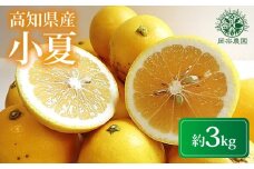 【先行予約】【令和8年産】 小夏 約 3kg フルーツ 果物 みかん 期間限定 季節限定 旬 柑橘 家庭用 自宅用 ギフト プレゼント 贈答 贈答用 こなつ 日向夏 ニューサマーオレンジ オレンジ デザート スイーツ アレンジ ゼリー ジャム ケーキ メリーガーデン 高知県産 高知県安芸市