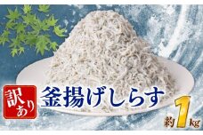 訳あり 釜揚げしらす 約1kg しらす 冷凍 大容量 惣菜 便利 弁当 晩ごはん 白州 白子魚介類 魚介類 海鮮 わけあり 小魚 魚 鮮魚 グルメ 人気 海の幸 ふりかけ ちりめん しらすご飯 国産 じゃこ しらす丼 人気 塩分控えめ 減塩 安芸市 高知県