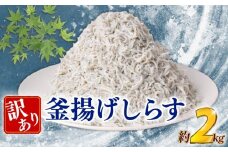 訳あり 釜揚げしらす 約2kg しらす 冷凍 大容量 惣菜 便利 弁当 晩ごはん 白州 白子魚介類 魚介類 海鮮 わけあり 小魚 魚 鮮魚 グルメ 人気 海の幸 ふりかけ ちりめん しらすご飯 国産 じゃこ しらす丼 人気 塩分控えめ 減塩 安芸市 高知県