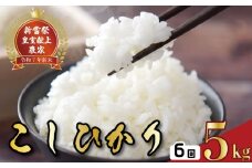 令和7年産 コシヒカリ 白米 6ヵ月連続 定期便 5kg × 6回 30kg お米 精米 新米 スピード発送 ごはん ご飯 高知県産 弁当 おにぎり 料理 新嘗祭皇室献上米 R7年 安芸市 高知県 美味しい 農家直送 食べ比べ 贈答用 ギフト 食品 通販 おすすめ 人気 ブランド米 お取り寄せ 特A評価 安心 安全 農薬減 無洗米 炊飯 食事 朝食 夕食 安芸市 高知県