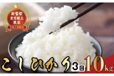 令和7年産 コシヒカリ 白米 3ヵ月連続 定期便 10kg × 3回 30kg お米 精米 新米 ごはん ご飯 高知県産 弁当 おにぎり 料理 新嘗祭皇室献上米 R7年 農家直送 美味しい 美食 贈り物 ギフト 食卓 和食 日本の味 炊き立て 粒選り すくすく育った 安全 安心 健康 栄養 美味 食育 家庭料理 おうちごはん 安芸市 高知県