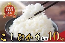 令和7年産 コシヒカリ 白米 6ヵ月連続 定期便 10kg × 6回 60kg お米 精米 新米 スピード発送 ごはん ご飯 高知県産 弁当 おにぎり 料理 新嘗祭皇室献上米 R7年 農家直送 美味しい 粒選り 贈答用 ギフト 食事 朝食 晩御飯 冷めても美味しい もちもち 炊き立て 家庭用 業務用 安芸市 高知県