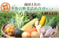 南国土佐の季節の野菜詰め合せセット | セット 詰め合わせ 旬 やさい 野菜 卵 農家直送 お楽しみ かぼちゃ カボチャ キャベツ きゃべつ トマト とまと 玉ねぎ たまねぎ タマネギ きゅうり キュウリ 旬野菜 夏野菜 春野菜 人気 高知県 南国市