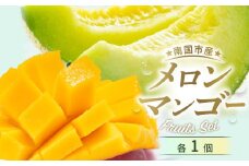 メロン マンゴー セット | マスクメロン 西島マンゴー フルーツ 果物 厳選 高級 青肉メロン 人気 デザート ギフト プレゼント 贈り物 くだもの 旬 お取り寄せ ギフト メロン 甘い 日照時間全国1位マンゴー メロン 詰合せ 高糖度メロン 先行予約 産地直送マンゴー メロン 2万円 20000 万円 高知県 南国市