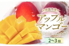 完熟 マンゴー セット( 2 ～ 3個 ) | アップルマンゴー 西島マンゴー フルーツ 果物 厳選 高級 マンゴー 人気 デザート ギフト プレゼント 贈り物 くだもの 旬 お取り寄せ ギフト マンゴー 甘い 日照時間全国1位マンゴー 詰合せ 高糖度マンゴー 先行予約 産地直送マンゴー マンゴー 2万円 以上 20000 万円 高知県 南国市