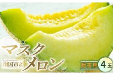 贈答用 南国市 メロン 4玉 | マスクメロン 4個 計5kg以上 フルーツ 果物 厳選 高級 人気 デザート ギフト プレゼント 贈り物 くだもの 旬 お取り寄せ メロン 甘い 青肉 メロン 高糖度 メロン 先行予約 高知県 南国市