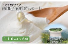 【ドルチェかがみ】南国斉藤牧場ノンホモジナイズ山地酪農牛乳ジェラート