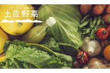 【土佐野菜】野菜の詰め合わせと無農薬生姜200g付き【セット 新鮮 野菜  人気 おすすめ 高知県 南国市】