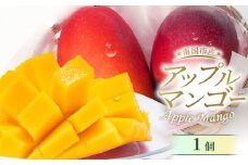 【先行予約】高知県南国市産／完熟アップルマンゴー1個（2026年6月～発送）【マンゴー フルーツ くだもの デザート 高評価 厳選 高級 ギフト 贈り物 人気 おすすめ】【マンゴー アップルマンゴー フルーツ 果物 くだもの 食品  高評価 厳選 高級 ギフト 贈り物 人気 おすすめ 】