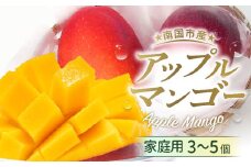 【先行予約】高知県南国市産／家庭用アップルマンゴー（2026年6月～発送）【マンゴー フルーツ くだもの デザート 高評価 人気 おすすめ】【マンゴー アップルマンゴー フルーツ 果物 くだもの 食品  高評価 厳選 高級 ギフト 贈り物 人気 おすすめ 】