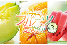 【年3回 旬のフルーツ定期便】季節のフルーツセット｜スイカ マンゴー メロン フルーツ 定期便 ふるーつ定期便 果物定期便 旬 夏フルーツ 秋フルーツ 冬フルーツ くだもの 贈答 ギフト 人気 おすすめ 高知県 南国市