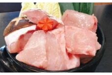 【幻の天然クエ直送】クエ鍋用800ｇ【魚 魚介 高級  人気 おすすめ 高知県 南国市】