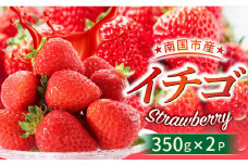 大人気 ！ いちご 700g （ 350g × 2パック ）| 苺 フルーツ いちご ストロベリー 人気 名産地 くだもの デザート 高評価 厳選 高級 ギフト 贈り物 人気 おすすめ イチゴ 数量限定 期間限定 先行予約 こだわり栽培いちご 高知県 南国市
