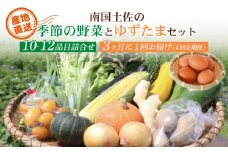 【3ヶ月に1回お届け 全4回コース】南国土佐の季節野菜と卵（ゆずたま）の詰め合わせセット | 定期便 セット 詰め合わせ 旬 やさい たまご 卵 柚子 ゆず ゆずたま 農家直送 人気 高知県 南国市