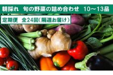 『定期便 全24回』【隔週お届け】朝採れ旬の野菜の詰め合わせ【セット 新鮮 野菜 毎月  人気 おすすめ 高知県 南国市】