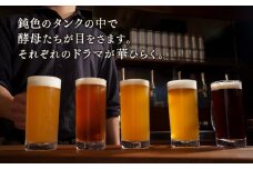 高知生まれのクラフトビール「山本麦酒」5本詰め合わせセット