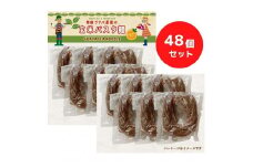 有機グアバ農園のグルテンフリー玄米パスタ麺 100g×48袋セット【グルテン フリー ダイエット 健康 食品  人気 おすすめ 高知県 南国市】