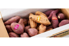 サツマイモ詰め合わせ　5キロ箱（ミエルスイート・安納黄金・紅はるか）【野菜 やさい 食品 人気 おすすめ 】