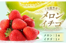 【先行予約】高知県南国市産／メロンといちごセット（2026年1月～発送）【メロン 苺 フルーツ くだもの デザート 高評価 人気 おすすめ】