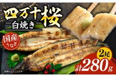 【通常用】極上国産うなぎ四万十桜　白焼き約140g×2尾 | 完全無投薬 うなぎ 鰻 白焼き 国産 四万十鰻 蒲焼き 調理済み タレ付き ギフト（お歳暮/お正月）高級 お取り寄せ グルメ 食べ比べ 冷凍 家庭用