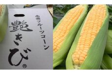 南国フルーツコーン 艶きび 10本入り | とうもろこし セット 国産 詰合せ 期間限定 数量限定 人気 高知県 南国市 農園けんぴ