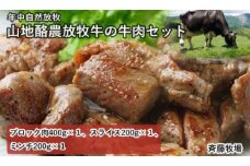 【南国斉藤牧場】山地酪農放牧牛の牛肉3種セット（計800ｇ）